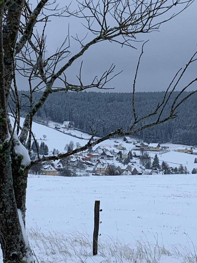 Berghaus Carlsfeld Villa Eibenstock Bagian luar foto